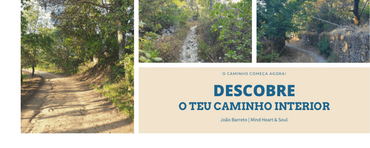 Image Title My Image